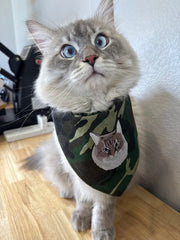 Sudadera estampada personalizada