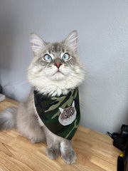 Sudadera estampada personalizada