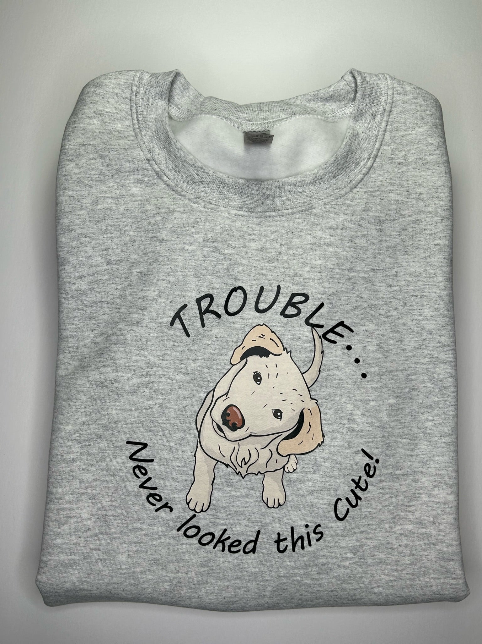 TROUBLE NEVER LOOK THIS CUTE Hooded Pullover Sweatshirt